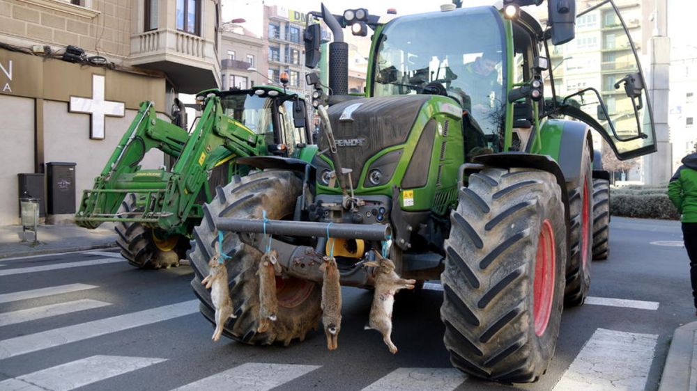 Miles de tractores con conejos muertos colgados exigen medidas contra la plaga que les arruina
