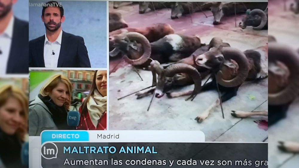 Pacma manipula el maltrato animal en TVE emitiendo imágenes de caza