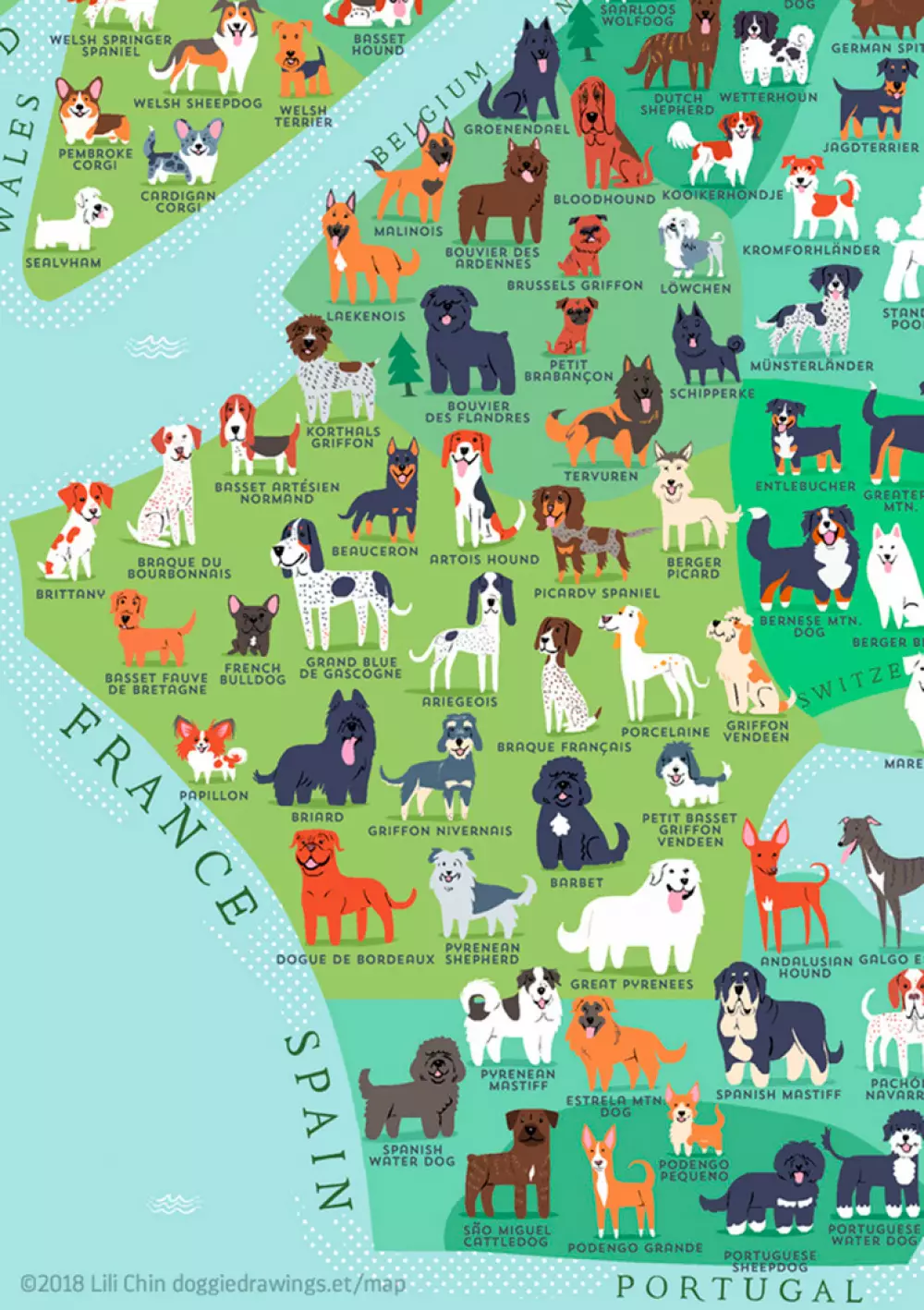 ¿Sabes de qué zona geográfica es tu perro?