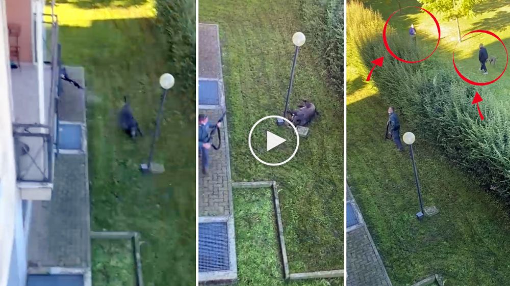 Un policía dispara y abate peligrosamente a un jabalí junto a varios vecinos y sus perros