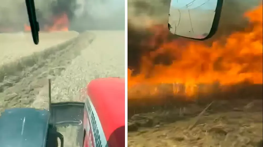 Cara a cara con el fuego: agricultores arriesgan sus vidas para detener las llamas