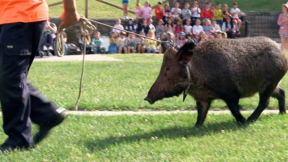 Una sociedad de cazadores asturiana acerca la caza a más de 300 escolares