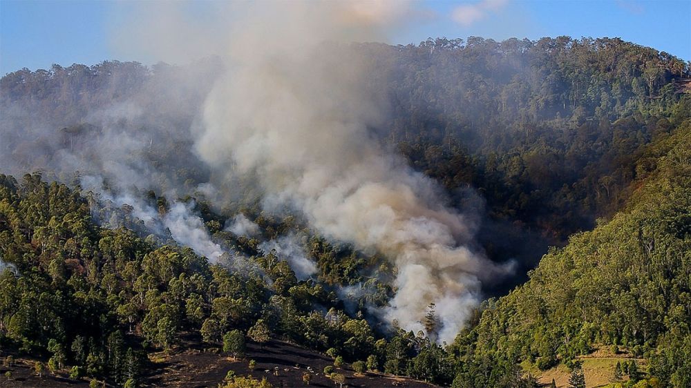 Cazadores piden a las administraciones públicas que recuperen las políticas forestales que ‘durante siglos’ han prevenido los incendios en España