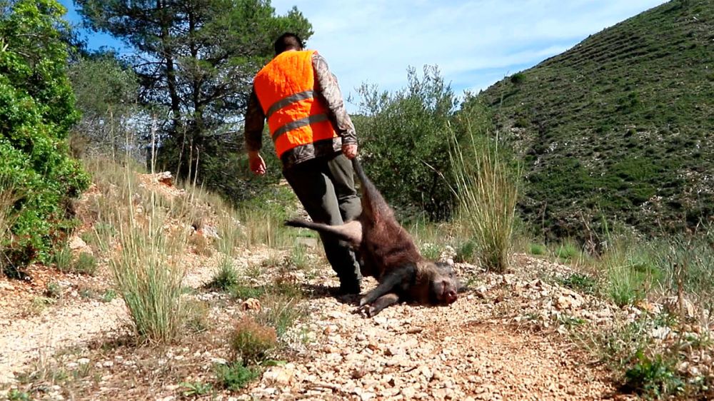 Principio de acuerdo para acabar con la huelga de cazadores en Cataluña
