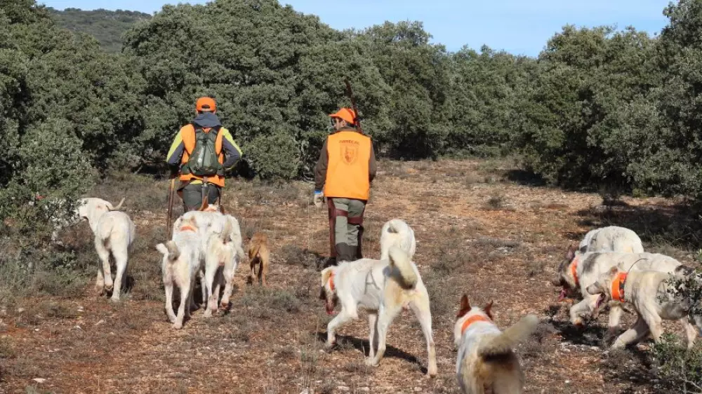 Los cazadores piden la retirada de la Ley Animalista ante la falta de consenso social y político