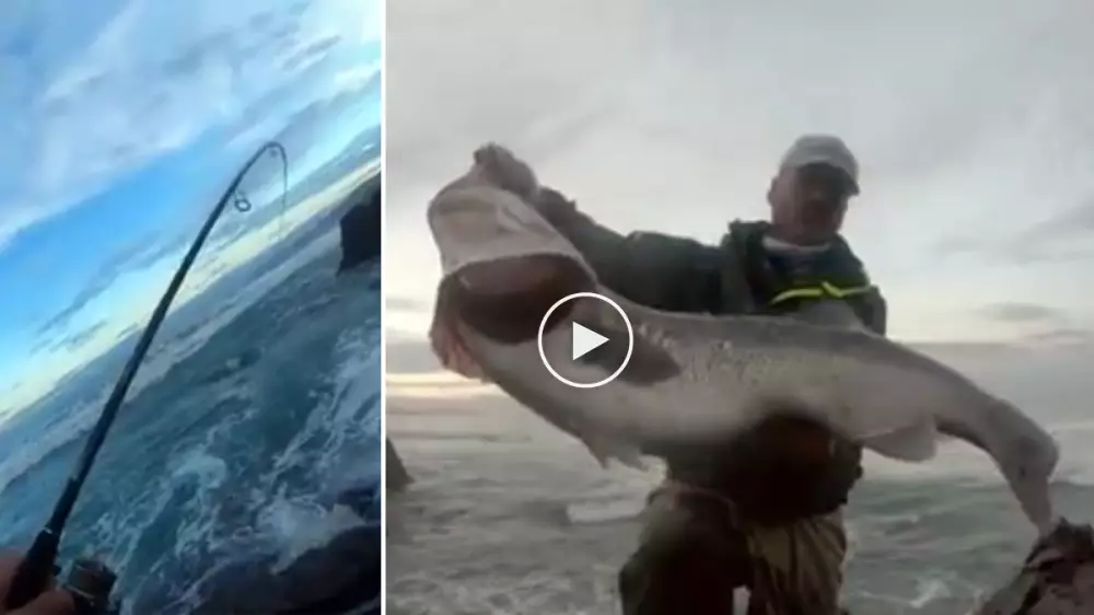 Graba en vídeo cómo pesca una lubina de 8,2 kilos