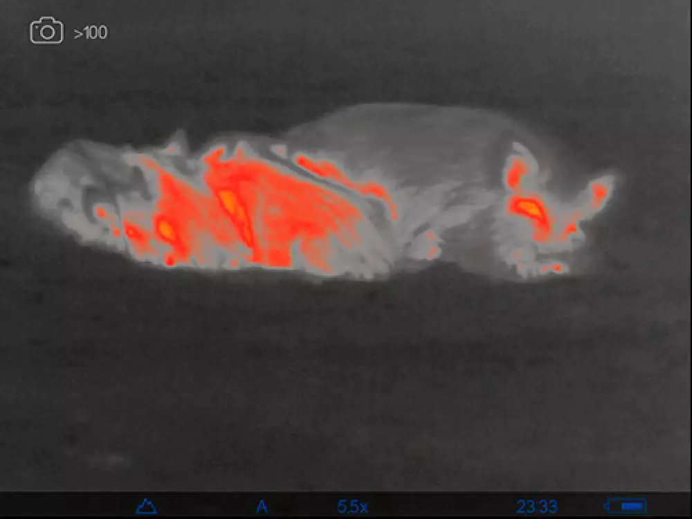 Monocular de visión térmica Axion