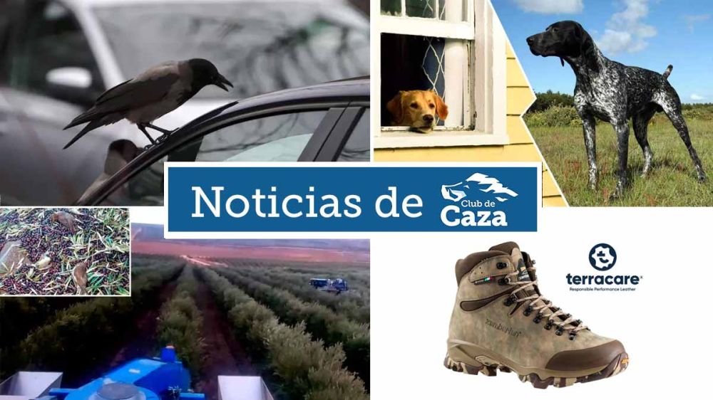 Noticias semanales con Club de Caza (29/09/23)