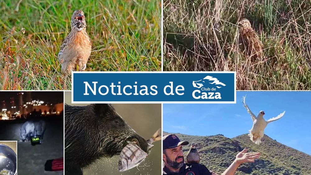 Noticias semanales con Club de Caza (14/04/23)