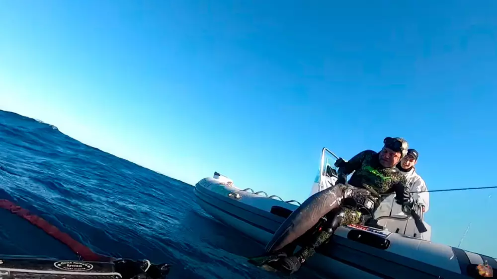 Pesca de congrios gigantes