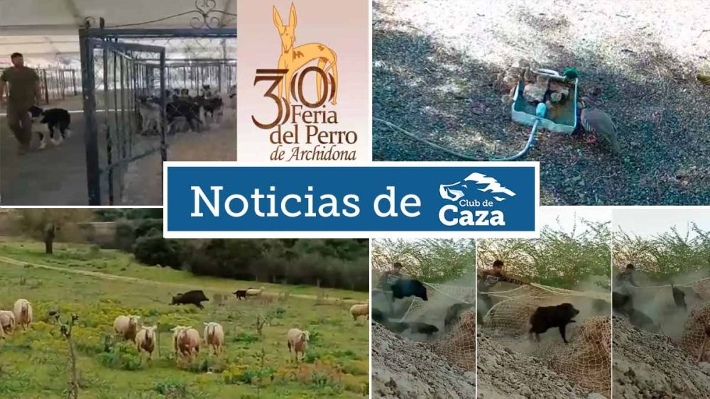 Noticias semanales con Club de Caza (14/05/23)