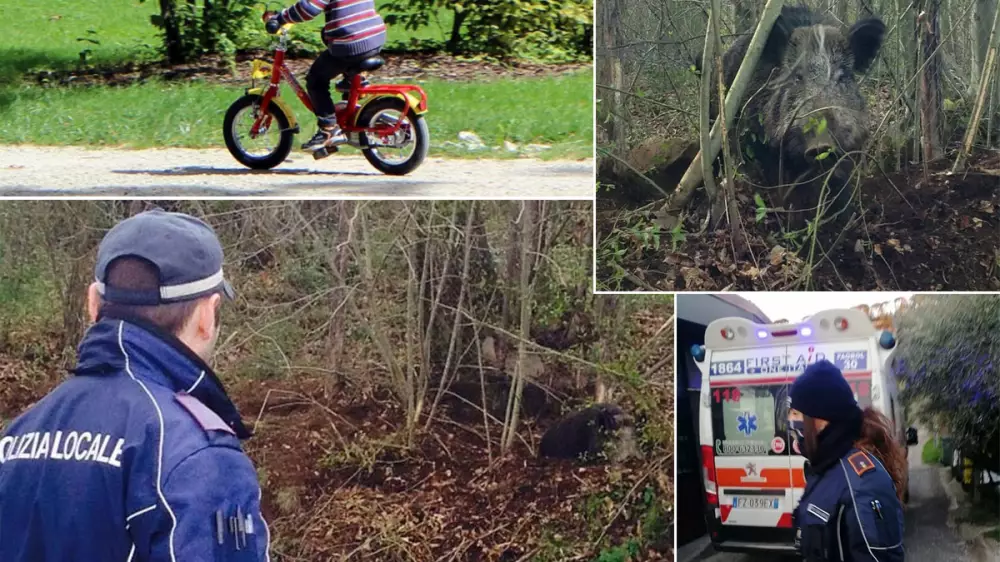 Un niño de 11 años es atacado por un jabalí mientras montaba en bicicleta