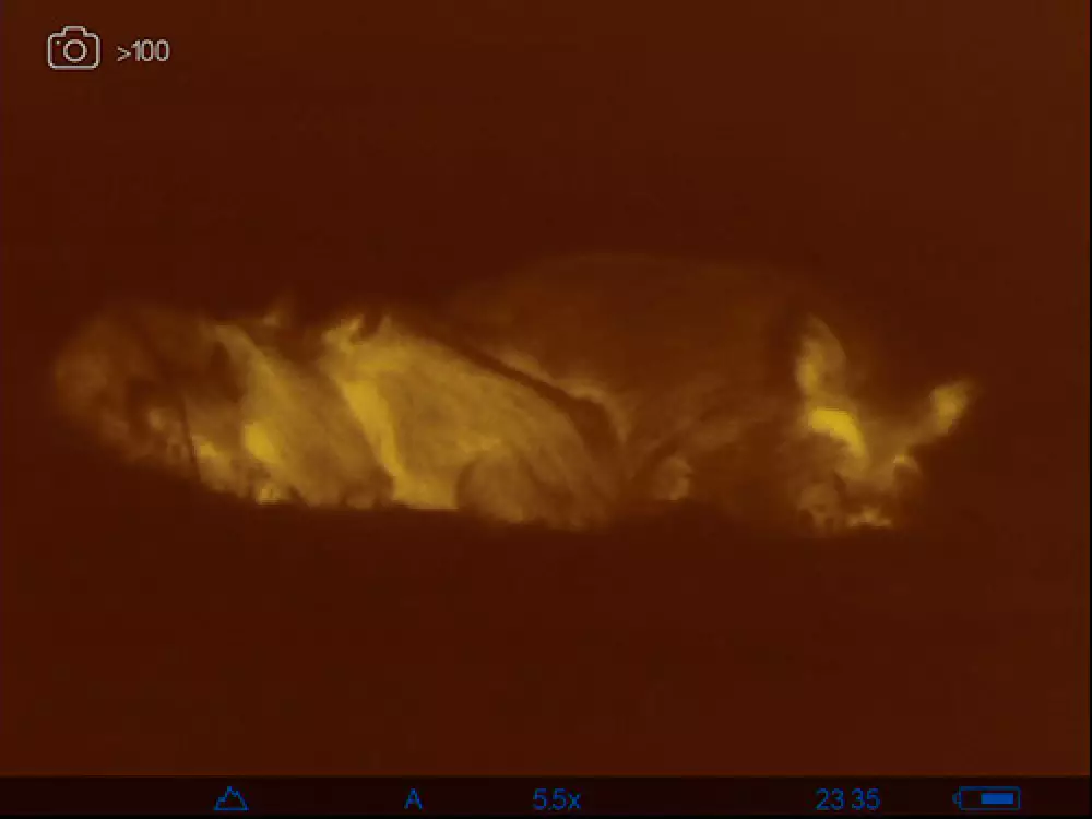 Monocular de visión térmica Axion