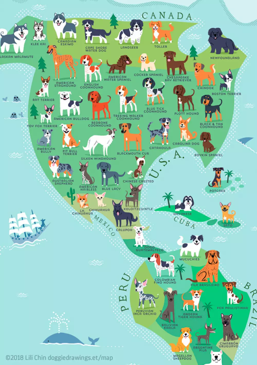 ¿Sabes de qué zona geográfica es tu perro?