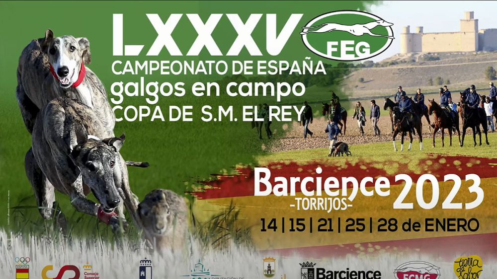 En directo: sigue los octavos de final del Campeonato de España de Galgos