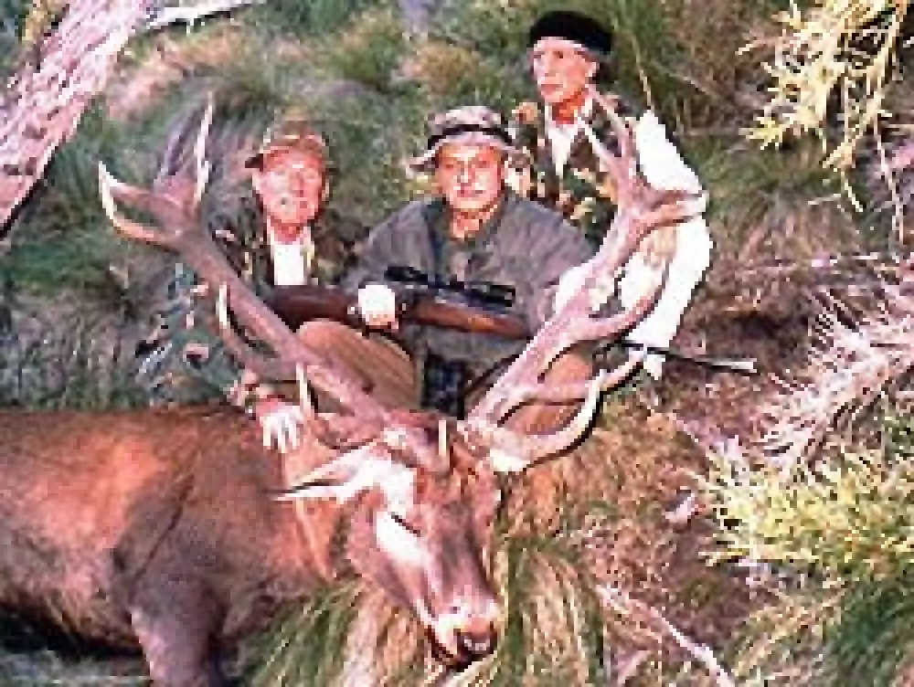 El 78% de los trofeos de ciervo rojo fueron cazados por extranjeros