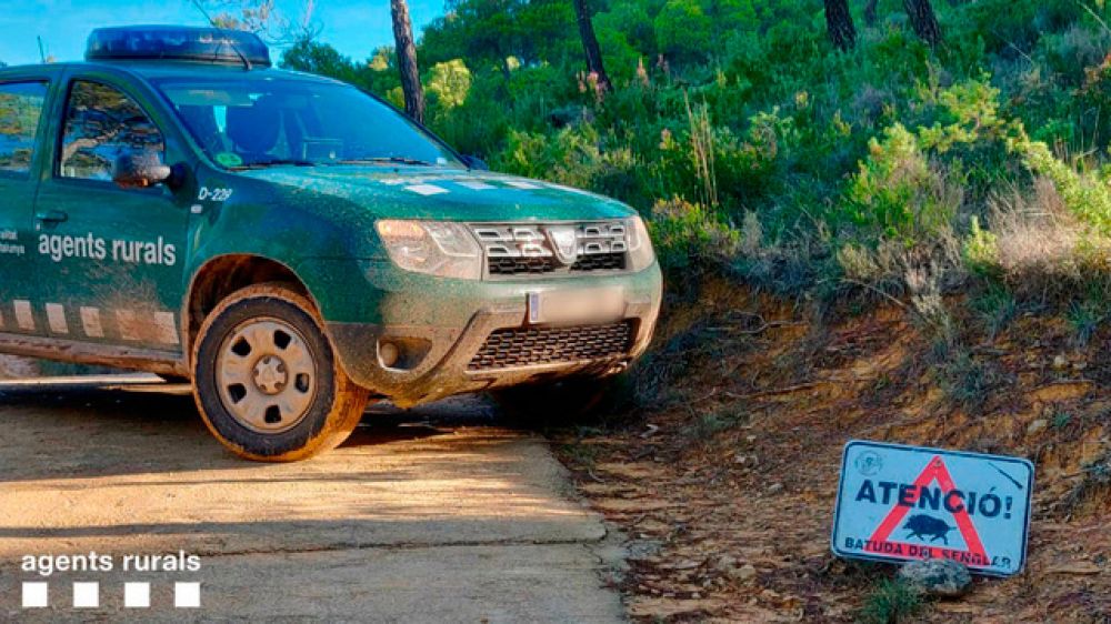 Prueban un dispositivo de ultrasonido para alejar a los jabalíes de los cultivos