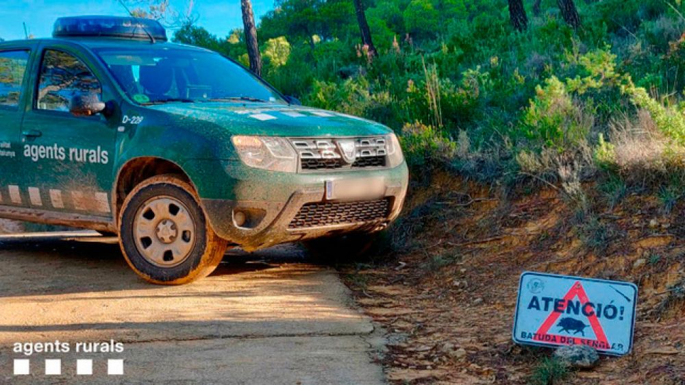 Cazadores catalanes organizan batidas para controlar las poblaciones de jabalíes en colaboración con  ayuntamientos, policía local y agentes rurales