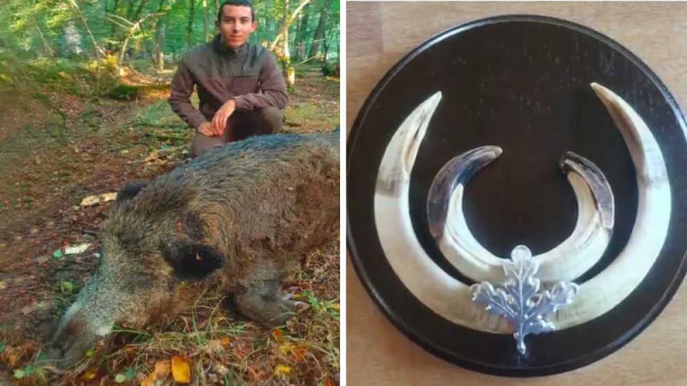 Un joven cazador abate un jabalí de 172 kilos durante una jornada para controlar los depredadores