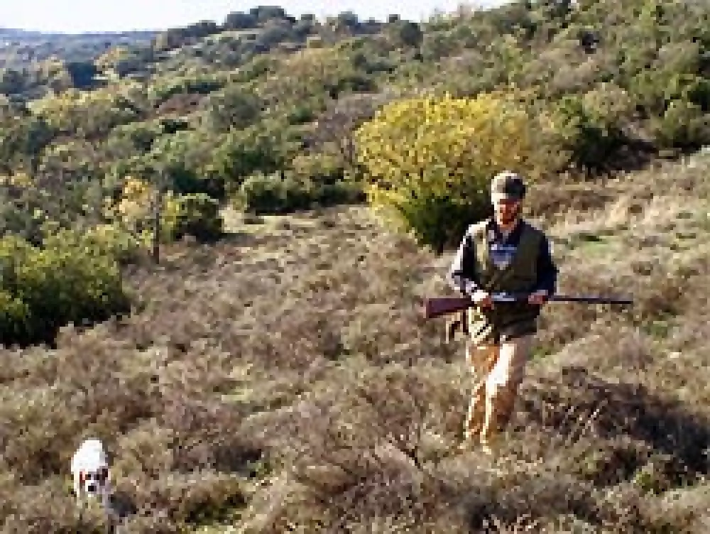 Publicados los periodos de caza en Castilla-La Mancha