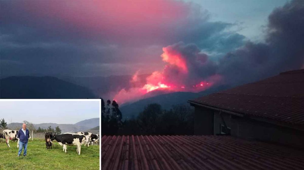 Se juega la vida para evitar que sus vacas perezcan en un incendio