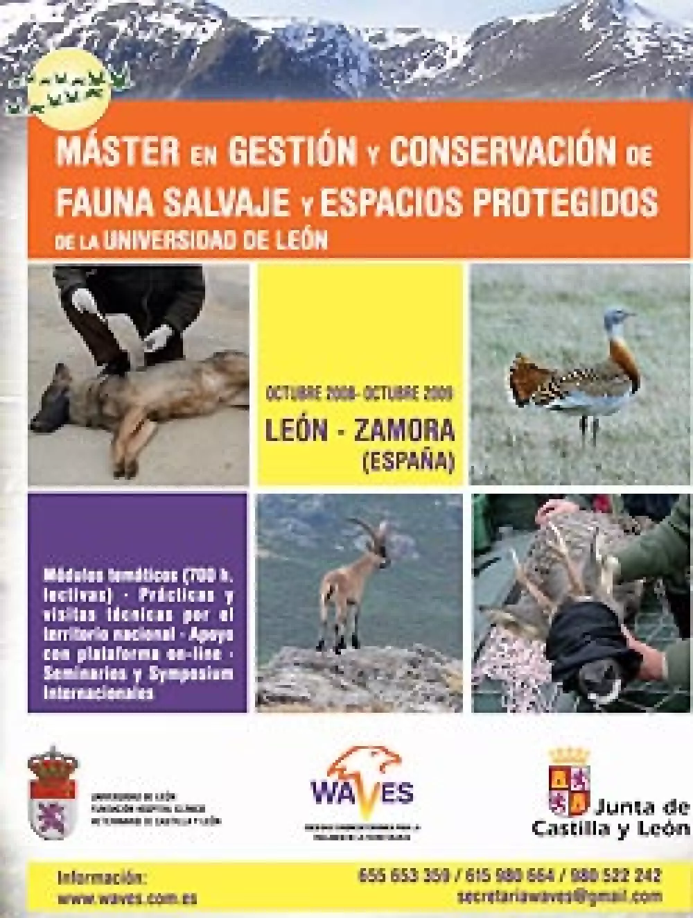 WAVES y la Universidad de León organizan un máster sobre gestión y conservación de fauna salvaje