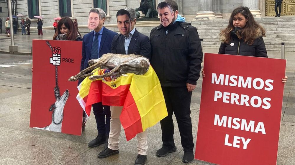 Los animalistas cruzan la línea y llevan un galgo muerto al Congreso de los Diputados