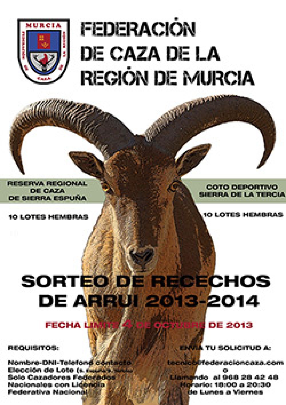 Sorteo de recechos de arruí