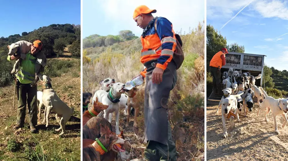 Agua para los perros de las rehalas españolas