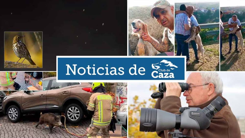 Noticias semanales con Club de Caza (17/11/23)