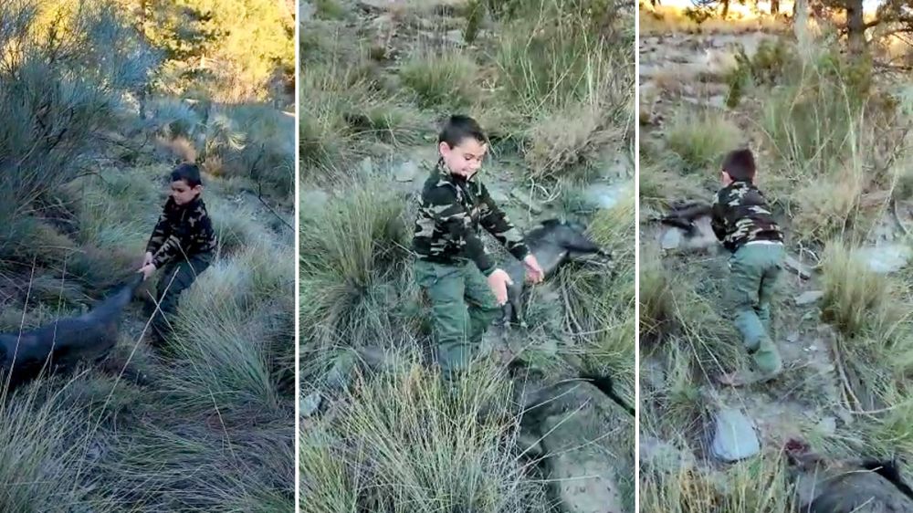 Un cazador de seis años ayuda a sacar del monte las reses abatidas