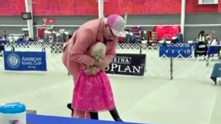  Preciosa historia de una niña con autismo que lleva su peluche a una exposición canina