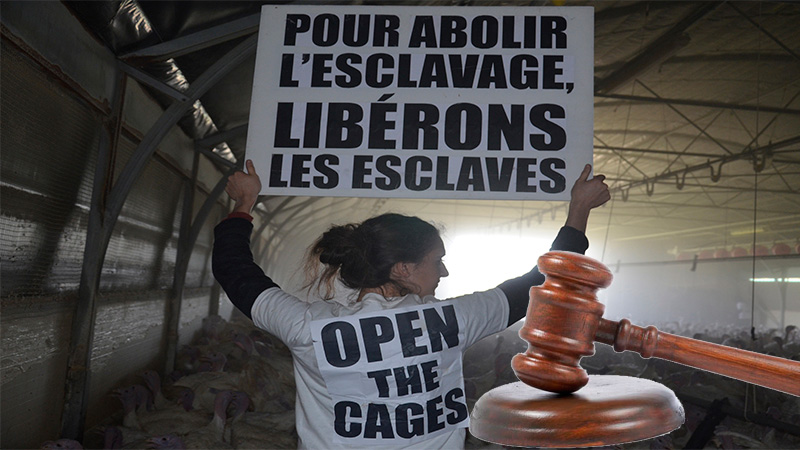  en Francia se condena el delito animalista