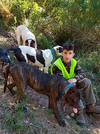 Resentimiento patrimonio Anillo duro Entrevistamos al rehalero que se lanzó sobre un gran jabalí para salvar a  sus perros