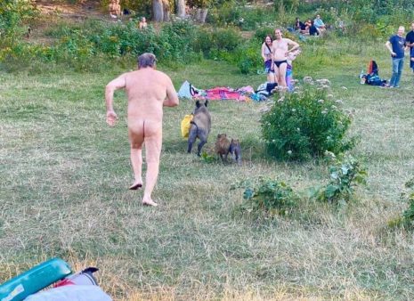  hombre desnudo corre tras jabalí